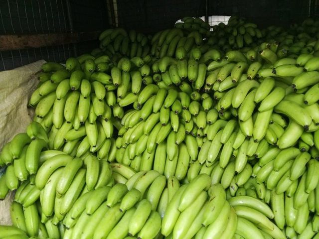 Banana - Image 1